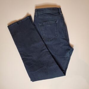 Ann Taylor LOFT Dress Jeans Modern Straight 31/12